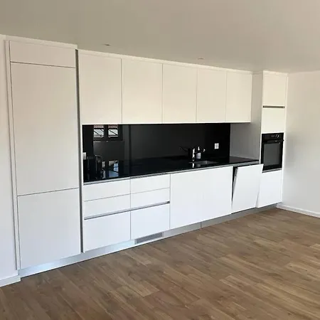 Walking Steps From Lake Geneva With Patio Lutry