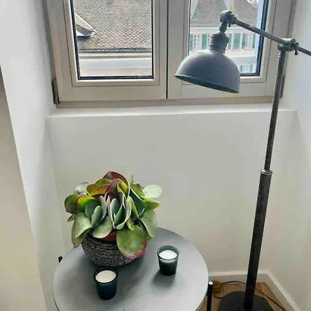 Walking Steps From Lake Geneva With Patio * Lutry