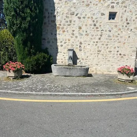 Walking Steps From Lake Geneva With Patio Apartamento Lutry
